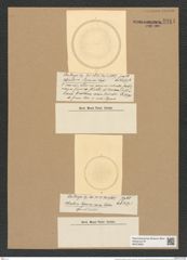 Coscinodiscus japonicus Castrac. (de-Toni-Nr.: Genus 202, Species 5202) Zeichnungen Sammlung Grunow Nr. 8914 (NHMW-BOT-W0378582)